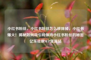 小红书粉丝,小红书粉丝怎么移除掉,小红书爆火!揭秘如何吸引和保持小红书粉丝的秘密亿乐社区SUP货源站