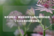 快手买粉丝,揭秘短视频平台粉丝经济的陷阱亿乐社区低价自营货源站