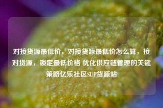 对接货源最低价,对接货源最低价怎么算,接对货源,锁定最低价格 优化供应链管理的关键策略亿乐社区SUP货源站