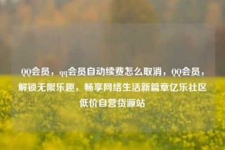 QQ会员,qq会员自动续费怎么取消,QQ会员,解锁无限乐趣,畅享网络生活新篇章亿乐社区低价自营货源站