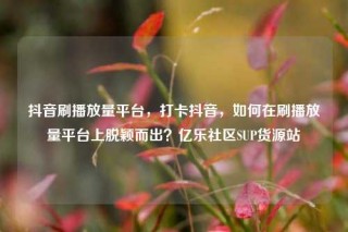 抖音刷播放量平台,打卡抖音,如何在刷播放量平台上脱颖而出?亿乐社区SUP货源站