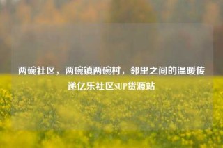 两碗社区，两碗镇两碗村，邻里之间的温暖传递亿乐社区SUP货源站
