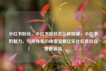 小红书粉丝，小红书粉丝怎么移除掉，小红书的魅力，与你分享的秘密宝藏亿乐社区低价自营货源站