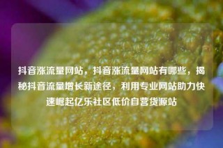 抖音涨流量网站,抖音涨流量网站有哪些,揭秘抖音流量增长新途径,利用专业网站助力快速崛起亿乐社区低价自营货源站