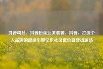 抖音粉丝,抖音粉丝业务套餐,抖音,打造个人品牌的超级引擎亿乐社区低价自营货源站