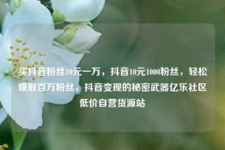 买抖音粉丝10元一万,抖音10元1000粉丝,轻松赚取百万粉丝,抖音变现的秘密武器亿乐社区低价自营货源站
