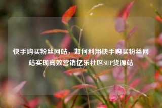 快手购买粉丝网站,如何利用快手购买粉丝网站实现高效营销亿乐社区SUP货源站