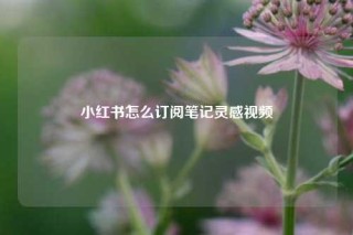 小红书怎么订阅笔记灵感视频