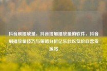 抖音刷播放量，抖音增加播放量的软件，抖音刷播放量技巧与策略分析亿乐社区低价自营货源站
