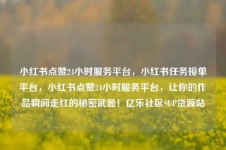 小红书点赞24小时服务平台,小红书任务接单平台,小红书点赞24小时服务平台,让你的作品瞬间走红的秘密武器!亿乐社区SUP货源站