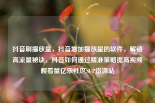 抖音刷播放量,抖音增加播放量的软件,解锁高流量秘诀,抖音如何通过精准策略提高视频观看量亿乐社区SUP货源站