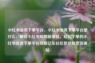 小红书业务下单平台,小红书业务下单平台是什么,解锁小红书购物新体验,轻松下单的小红书业务下单平台攻略亿乐社区低价自营货源站