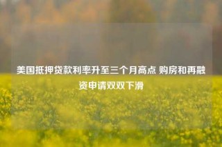 美国抵押贷款利率升至三个月高点 购房和再融资申请双双下滑