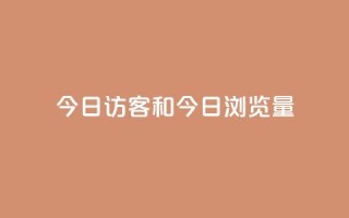 今日访客和今日浏览量,q赞助手最新版下载 - qq绝版名片代码大全 - 抖音下单24小时