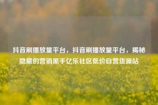 抖音刷播放量平台,抖音刷播放量平台,揭秘隐藏的营销黑手亿乐社区低价自营货源站