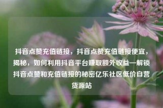 抖音点赞充值链接,抖音点赞充值链接便宜,揭秘,如何利用抖音平台赚取额外收益—解锁抖音点赞和充值链接的秘密亿乐社区低价自营货源站