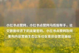小红书点赞网,小红书点赞网马线报帮手,社交数据经济下的流量密码,小红书点赞网如何重构内容营销生态亿乐社区低价自营货源站