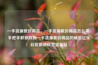 一手货源低价商品,一手货源低价商品怎么卖,手把手教你找到一手货源低价商品的秘密亿乐社区低价自营货源站