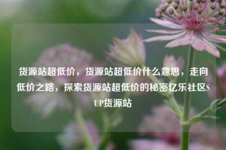 货源站超低价，货源站超低价什么意思，走向低价之路，探索货源站超低价的秘密亿乐社区SUP货源站