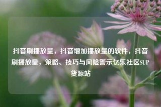 抖音刷播放量,抖音增加播放量的软件,抖音刷播放量,策略、技巧与风险警示亿乐社区SUP货源站