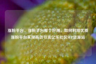 涨粉平台,涨粉平台那个好用,如何利用优质涨粉平台实现高效引流亿乐社区SUP货源站