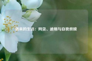 借来的生活：网贷、逾期与自我救赎