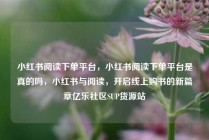 小红书阅读下单平台，小红书阅读下单平台是真的吗，小红书与阅读，开启线上购书的新篇章亿乐社区SUP货源站