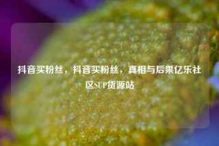 抖音买粉丝，抖音买粉丝，真相与后果亿乐社区SUP货源站