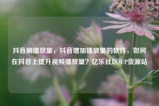 抖音刷播放量,抖音增加播放量的软件,如何在抖音上提升视频播放量?亿乐社区SUP货源站