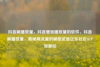抖音刷播放量,抖音增加播放量的软件,抖音刷播放量,揭秘高流量的秘密武器亿乐社区SUP货源站