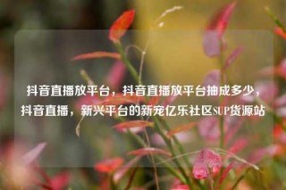 抖音直播放平台,抖音直播放平台抽成多少,抖音直播,新兴平台的新宠亿乐社区SUP货源站