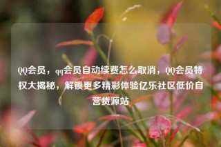QQ会员,qq会员自动续费怎么取消,QQ会员特权大揭秘,解锁更多精彩体验亿乐社区低价自营货源站