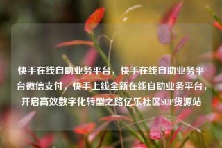 快手在线自助业务平台,快手在线自助业务平台微信支付,快手上线全新在线自助业务平台,开启高效数字化转型之路亿乐社区SUP货源站