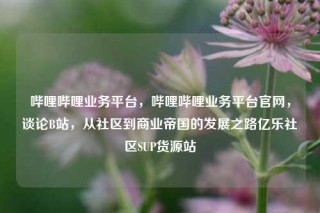 哔哩哔哩业务平台,哔哩哔哩业务平台官网,谈论B站,从社区到商业帝国的发展之路亿乐社区SUP货源站