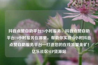 抖音点赞自助平台24小时服务,抖音点赞自助平台24小时服务在哪里,帮助你实现24小时抖音点赞自助服务平台—打造您的在线流量金矿!亿乐社区SUP货源站