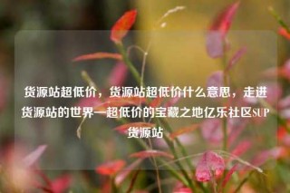 货源站超低价,货源站超低价什么意思,走进货源站的世界—超低价的宝藏之地亿乐社区SUP货源站