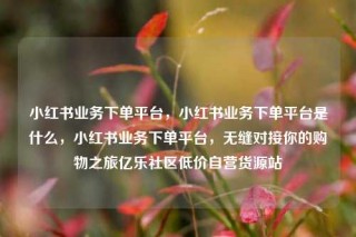 小红书业务下单平台,小红书业务下单平台是什么,小红书业务下单平台,无缝对接你的购物之旅亿乐社区低价自营货源站