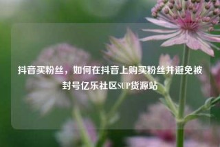 抖音买粉丝,如何在抖音上购买粉丝并避免被封号亿乐社区SUP货源站