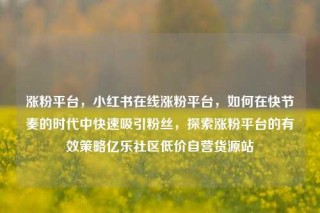 涨粉平台,小红书在线涨粉平台,如何在快节奏的时代中快速吸引粉丝,探索涨粉平台的有效策略亿乐社区低价自营货源站