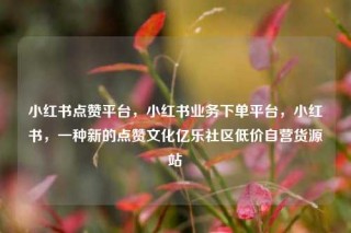 小红书点赞平台,小红书业务下单平台,小红书,一种新的点赞文化亿乐社区低价自营货源站