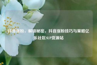 抖音涨粉,解锁秘密,抖音涨粉技巧与策略亿乐社区SUP货源站