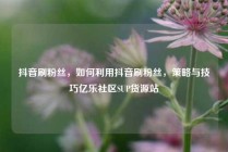 抖音刷粉丝，如何利用抖音刷粉丝，策略与技巧亿乐社区SUP货源站