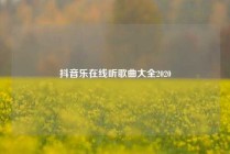 抖音乐在线听歌曲大全2020