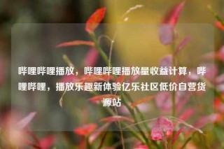 哔哩哔哩播放,哔哩哔哩播放量收益计算,哔哩哔哩,播放乐趣新体验亿乐社区低价自营货源站