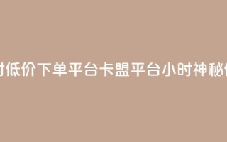 卡盟24小时低价下单平台(卡盟平台24小时神秘低价下单)