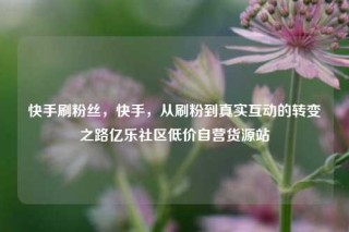 快手刷粉丝,快手,从刷粉到真实互动的转变之路亿乐社区低价自营货源站