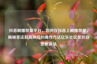 抖音刷播放量平台,如何在抖音上刷播放量,揭秘非法且高风险的操作方法亿乐社区低价自营货源站