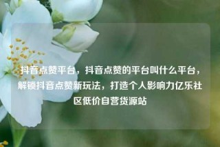 抖音点赞平台,抖音点赞的平台叫什么平台,解锁抖音点赞新玩法,打造个人影响力亿乐社区低价自营货源站