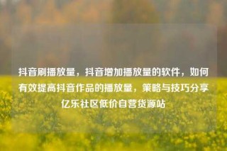 抖音刷播放量，抖音增加播放量的软件，如何有效提高抖音作品的播放量，策略与技巧分享亿乐社区低价自营货源站