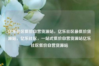 亿乐社区低价自营货源站,亿乐社区最低价货源站,亿乐社区,一站式低价自营货源站亿乐社区低价自营货源站